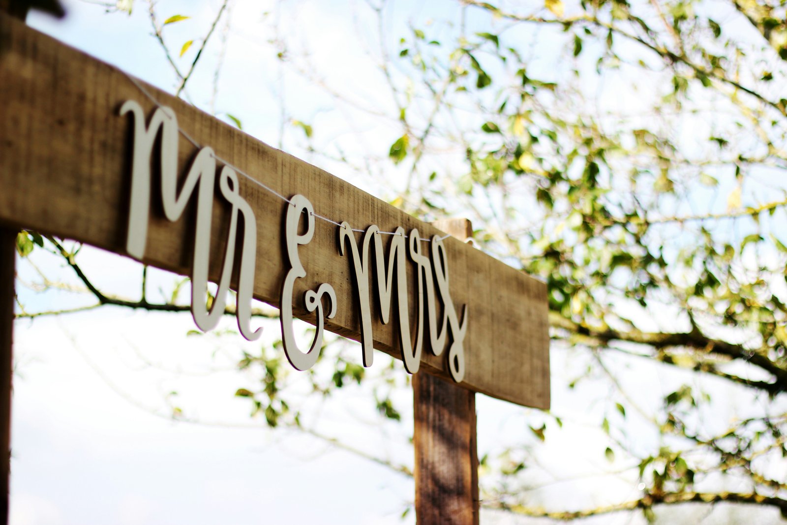 Wedding and reception setup